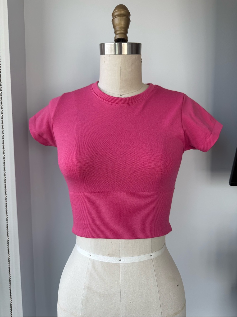 aerie Hot Pink Ribbed Short Sleeve Crop Top